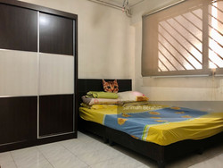 Blk 408 Fajar Road (Bukit Panjang), HDB Executive #222274631